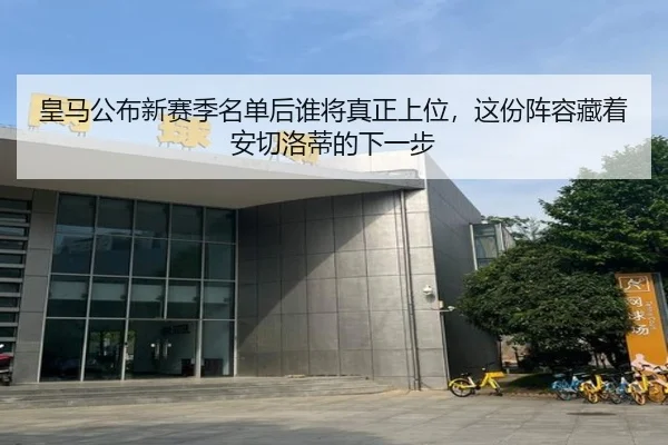 皇马公布新赛季名单后谁将真正上位，这份阵容藏着安切洛蒂的下一步